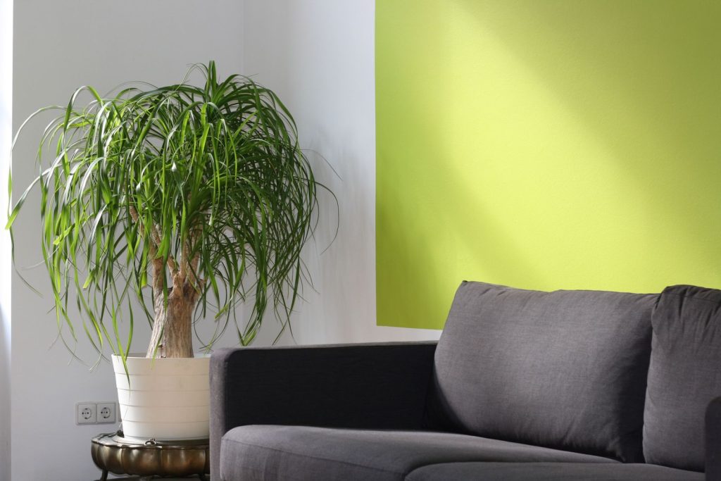 Living room interior